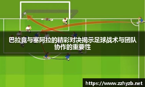 BB贝博登录入口