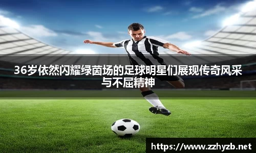 BB贝博登录入口